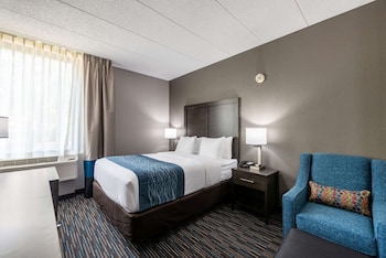 Room, 1 King Bed, Accessible, Non Smoking