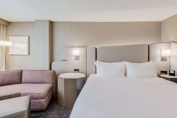 Suite, 1 King Bed