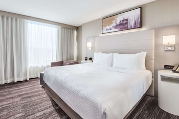 Suite, 1 King Bed
