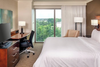 Room, 1 King Bed