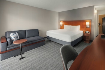 Room, 1 King Bed with Sofa bed