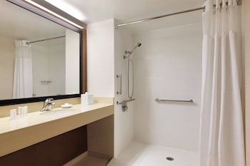 Room, 1 King Bed (Mobility Accessible, Roll-In Shower)