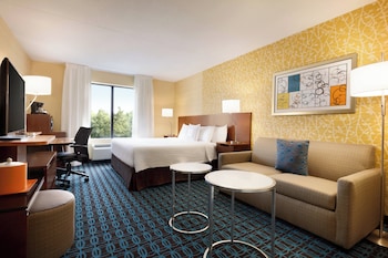 Room, 1 King Bed with Sofa bed