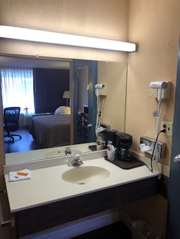 Single Room, 1 King Bed, Smoking