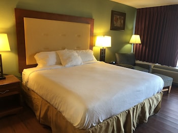 Single Room, 1 King Bed, Smoking