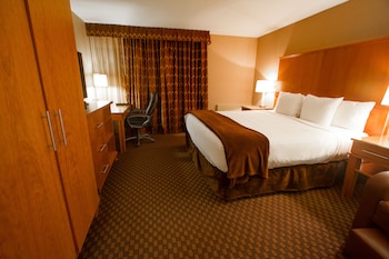 B1 Executive Room, 1 King Bed