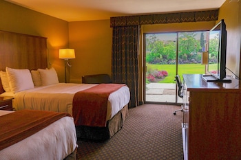 B1 Executive Room, 2 Queen Beds