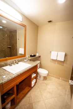 Executive Room, 1 Queen Bed