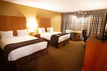 B1 Executive Room, 2 Queen Beds