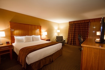 B1 Executive Room, 1 King Bed
