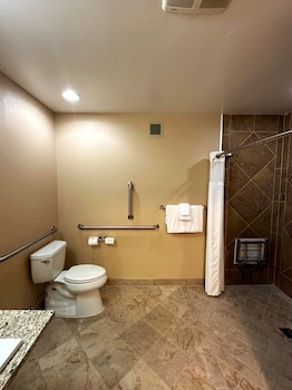 Executive Room, 1 Queen Bed