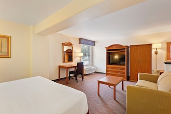 Room, 1 King Bed with Sofa bed