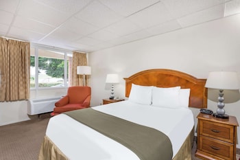 Room, 1 Queen Bed, Non Smoking (Pet-friendly)