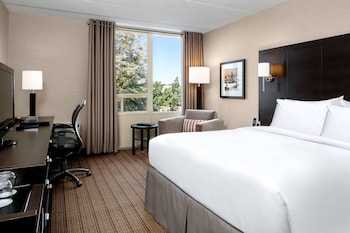 Room, 1 Queen Bed