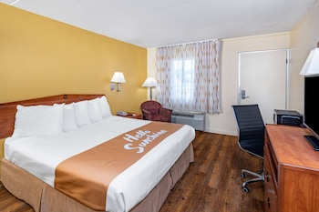 Room, 1 King Bed, Accessible, Non Smoking