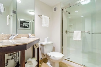 Room, 1 King Bed, Non Smoking, Bathtub (Upgrade)