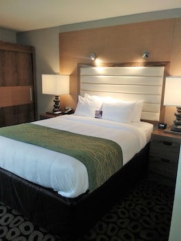 Room, 1 Queen Bed, Accessible, Non Smoking