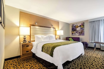 Room, 1 King Bed, Non Smoking, Bathtub (Upgrade)