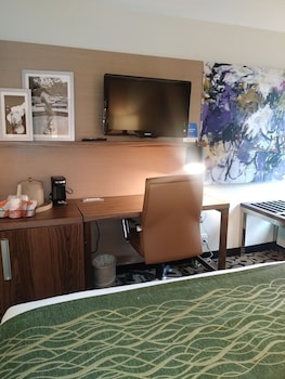 Room, 1 Queen Bed, Accessible, Non Smoking
