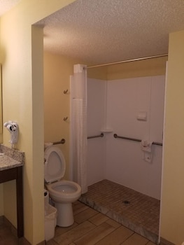 Deluxe Room, 1 King Bed, Accessible, Non Smoking