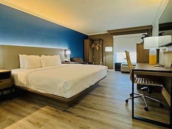 Suite, 1 King Bed with Sofa bed, Non Smoking