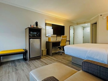 Suite, 1 King Bed with Sofa bed, Non Smoking