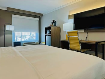Suite, 1 King Bed with Sofa bed, Non Smoking