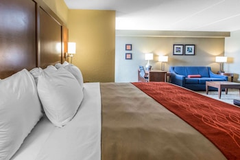 Suite, 1 King Bed with Sofa bed, Non Smoking (2 Person Sofa Bed)