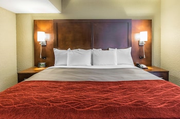 Suite, 1 King Bed with Sofa bed, Non Smoking