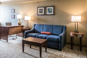 Suite, 1 King Bed with Sofa bed, Non Smoking (2 Person Sofa Bed)