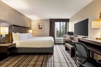 Standard Room, 1 King Bed