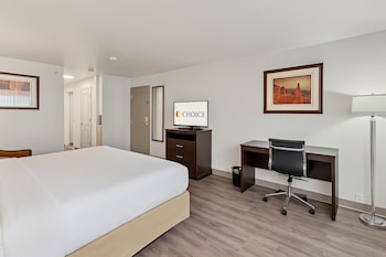 Standard Room, 1 King Bed, Non Smoking