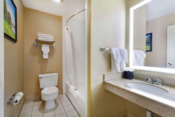 Suite, 1 King Bed, Non Smoking, Refrigerator & Microwave (with Sofabed)