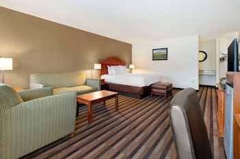 Suite, 1 King Bed, Non Smoking, Refrigerator & Microwave (with Sofabed)