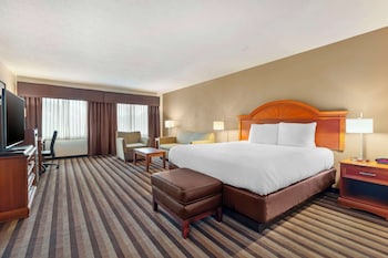 Suite, 1 King Bed, Non Smoking, Refrigerator & Microwave (with Sofabed)