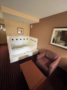Room, 1 King Bed, Non Smoking, Jetted Tub