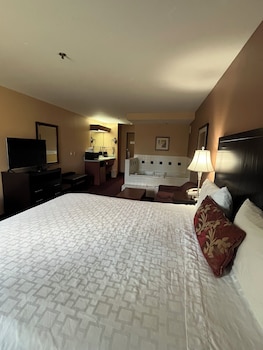 Room, 1 King Bed, Non Smoking, Jetted Tub