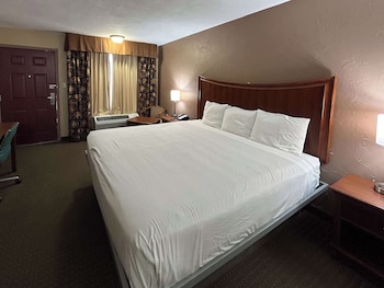 Standard Room, 1 King Bed, Non Smoking, Refrigerator & Microwave