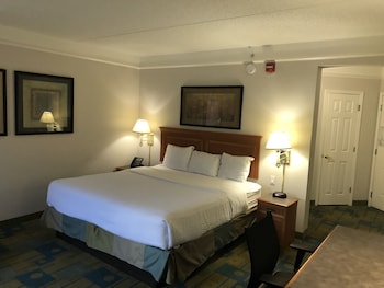 Deluxe Room, 1 King Bed, Non Smoking