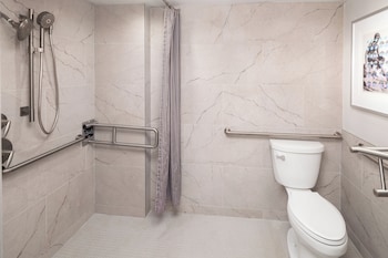 Premier Room, 1 King Bed, Accessible, City View