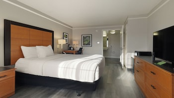 Room, 1 Queen Bed, Non Smoking