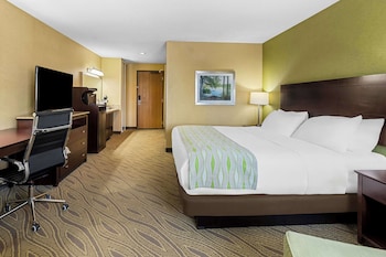 Standard Room, 1 King Bed, Non Smoking, Refrigerator & Microwave