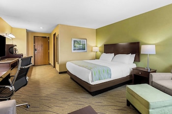 Standard Room, 1 King Bed, Non Smoking, Refrigerator & Microwave