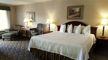 Room, 1 King Bed, Accessible