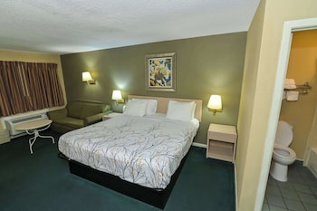 Room, 1 King Bed, Non Smoking (Deluxe)