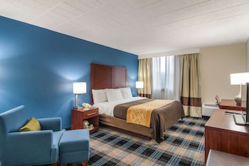 Standard Room, 1 King Bed, Non Smoking