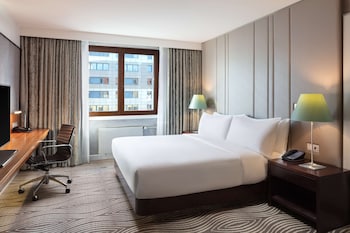 Room, 1 King Bed
