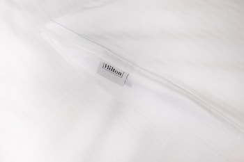 Twin Executive Room, 2 Single Beds (Lounge Access)