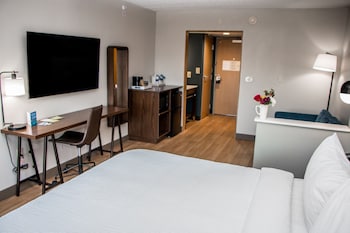 Room, 1 King Bed with Sofa bed, Park View (Hearing Accessible)