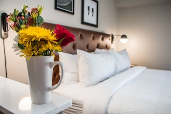 Room, 1 King Bed with Sofa bed, Park View (Hearing Accessible)